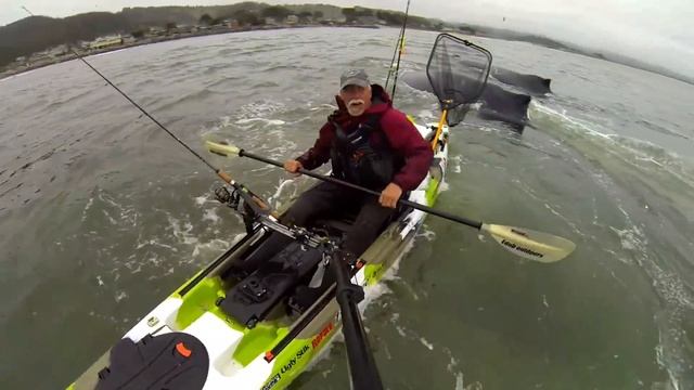 Два белых кита и рыбак смотреть онлайн