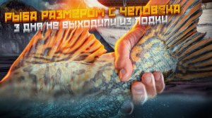 Поймали РЫБУ РАЗМЕРОМ СО СЛАВУ на силикон! Трое суток в лодке. Щука с третьего заброса. PAL 2022.mov