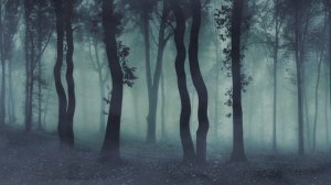 DARK FOREST | AMBIENCE, HAUNTING ATMOSPHERE, D&D, ASMR