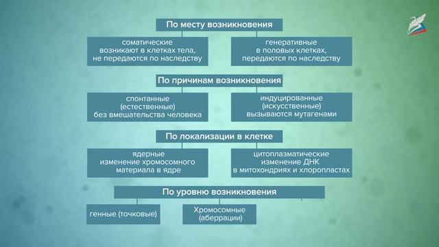 Основные формы изменчивости организмов. Генотипическая изменчивость смотреть онлайн