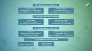 Основные формы изменчивости организмов. Генотипическая изменчивость