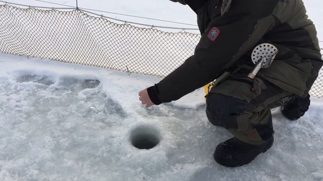 Ловля форели со льда . РК Фишка Липки. смотреть онлайн