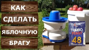 Яблочная брага. Как сделать яблочный самогон.