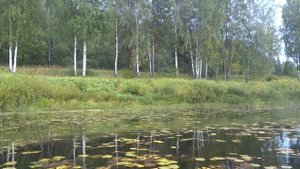 Поход по реке Медведица. Сплав по Медведице до Верхней Троицы