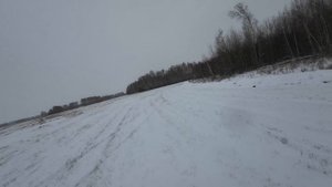 Охота косулю. Рогач, козы, тетерева и кабан