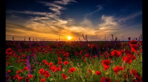 Сектор Газа - Сельский Кайф (slowed & reverb)