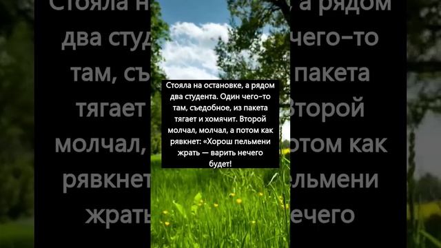 #рассказ #история #историиизжизни