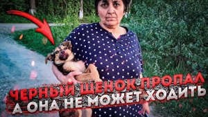 Щенки оказались в ловушке человеческой жестокости.