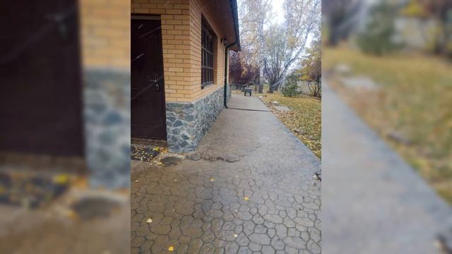 ремонт отмостки