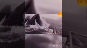 Везучие люди которые были на волосок от смерти | Невероятные моменты с людьми