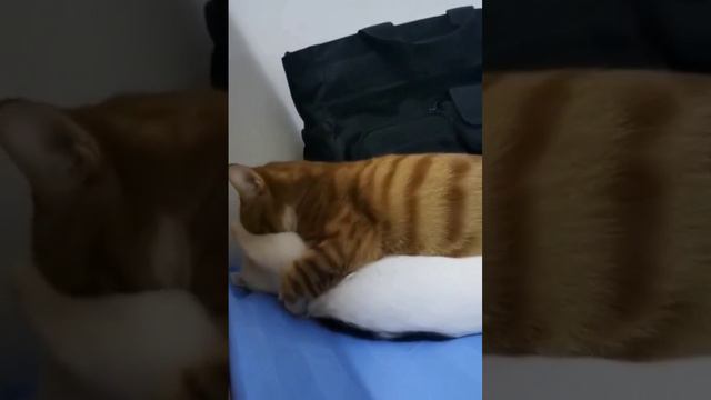 Закройте за собой👀
