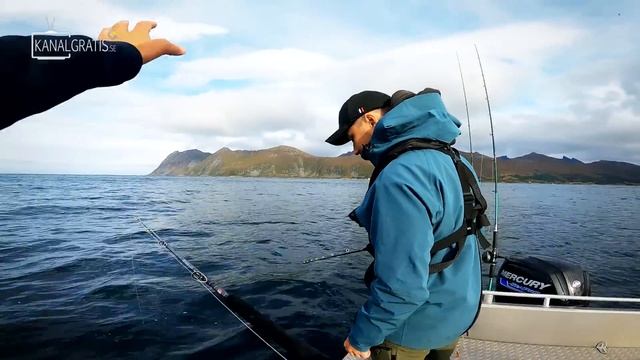 EXPLORING THE FISHING FOR DIFFERENT SPECIES IN NORTHERN NORWAY | Team Galant смотреть онлайн