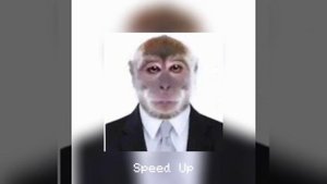 Курнул но вроде не навоз - Speed Up