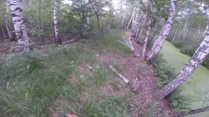 Ловля щуки на невскую катушку, видео rybachil.ru