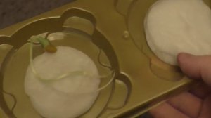 Опыт по биологии 5 класс, 15.12.2015г.