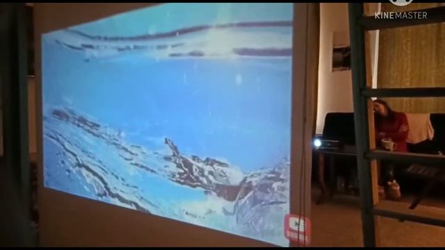 Плёнка для обратной проекции смотреть онлайн