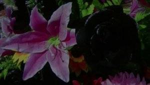 Ильдар Южный - Блудный сын