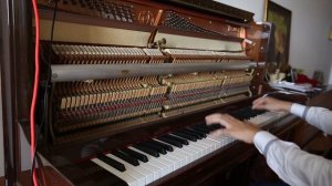 Despacito Peter Bence Piano Cover