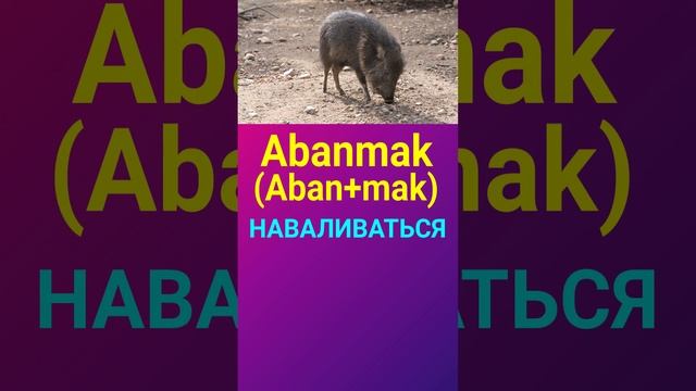 НАВАЛИВАТЬСЯ ПО ТУРЕЦКИ ТУРЕЦКИЙ ЯЗЫК ОНЛАЙН УРОКИ И ГРАММАТИКА ТУРЕЦКОГО ЯЗЫКА ДЛЯ НАЧИНАЮЩИХ смотреть онлайн