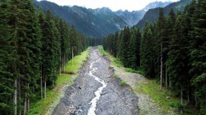 Красивая Грузинская Песня ❤️