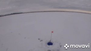 Зимняя рыбалка в Удмуртии.Удачное закрытие сезона.Ловля щуки на жерлицы.Рыбалка в Удмуртии на каме