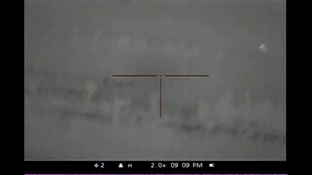 Coyote No. 16 Hunting Pulsar APEX XD75A Thermal Amongst the Sheep смотреть онлайн