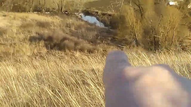 Земля под КФХ ( фермерское хозяйство ) в аренду на 10 лет смотреть онлайн