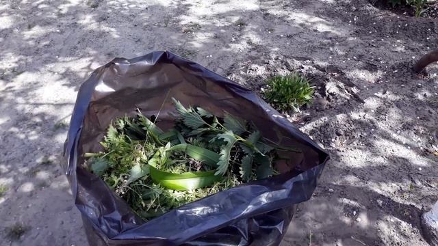 СУПЕР! подкормка из травы. смотреть онлайн