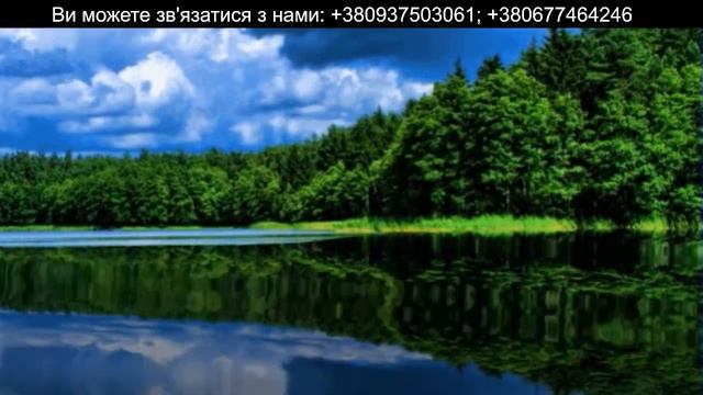 Евангелие от Матфея, от Марка, от Луки, от Иоанна на русском и украинском языках. смотреть онлайн