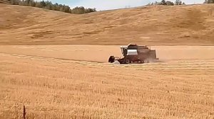 камбаин вектор 410 уборка пшеницы 2022