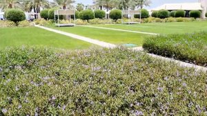 Обзор отеля Intercontinental resort fudjeirah 5*, all inclusive ( Все включено) Смотрим до конца?✈️