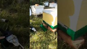 Самодельный сублиматор  в действии)