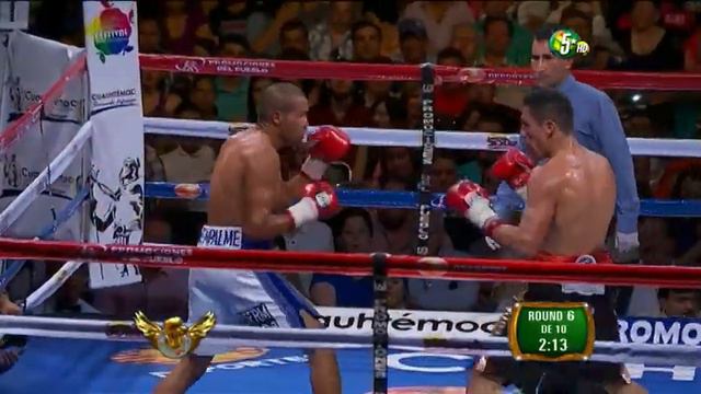 Marco "Dorado" Reyes vs Octavio "Tayo" Castro смотреть онлайн