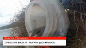 Зарыбление водоема от Уральского клуба рыбалки!