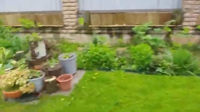 ГОРШЕЧНЫЕ КОМПОЗИЦИИ в саду. Начинаю... смотреть онлайн