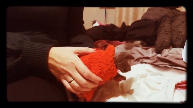 Персик заболел смотреть онлайн