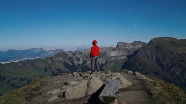Tushda qo'y ko'rsa nima bo'lishini bilasizmi tush tabiri смотреть онлайн