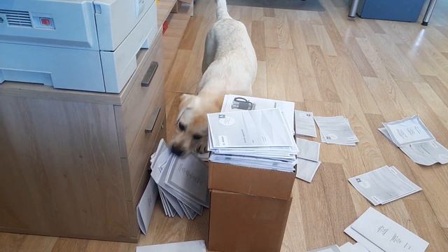 Первый рабочий день. Разбор архивов 20230809 123653 смотреть онлайн