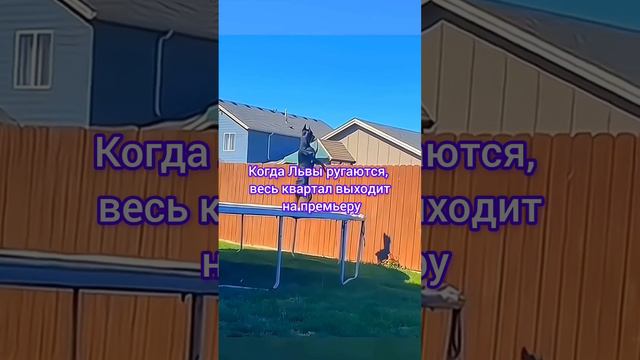 О знаках зодиака с юмором #7гроз #веды #нумерология #астрология #магиячисел #зодиак #знакизодиака