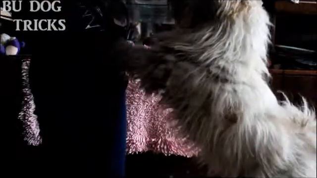 ß ų δ Ł į ₭ смотреть онлайн