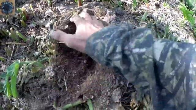 Кроты,как я избавился от кротов.