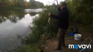 Лисичанск , Северский Донец , рыбалка .