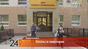 Один из домов в Нижнекамске атаковали клопы