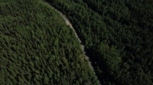 Архангельская область. Плесецкий район. Гора Мяндуха. #DJIMINI2 #РОССИЯСВЕРХУ