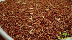 Природные Статины - в каких продуктах они?