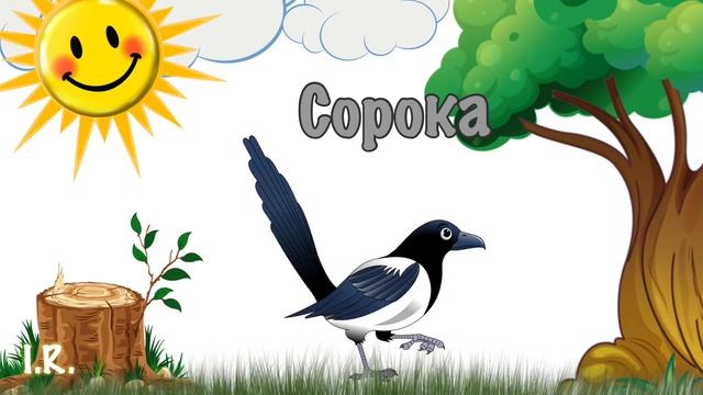 ???Учим название птиц с малышами ??Мультик от 0-3??Обучающие видио+стишки??весёлый урок смотреть онлайн