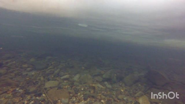 Зимняя рыбалка на горной речке Кафэ ( часть 2) р. Ко. ДВ тайга смотреть онлайн