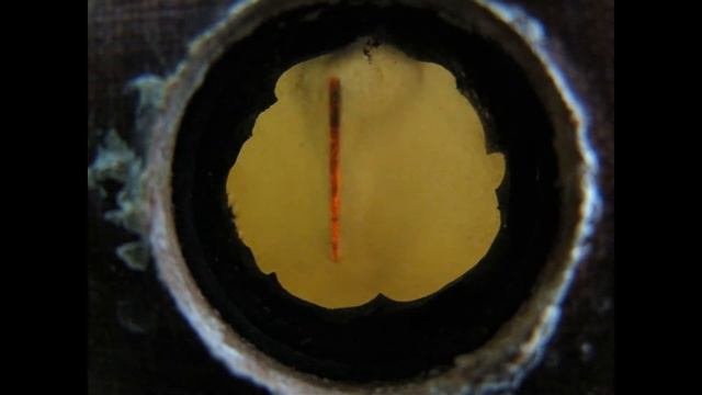 ЧТО ТАКОЕ ЭЛЕКТРОЛИТНО-ПЛАЗМЕННОЕ ПОЛИРОВАНИЕ? Плазма. Plasma. Electrical Discharge.
