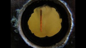 ЧТО ТАКОЕ ЭЛЕКТРОЛИТНО-ПЛАЗМЕННОЕ ПОЛИРОВАНИЕ? Плазма. Plasma. Electrical discharge.
