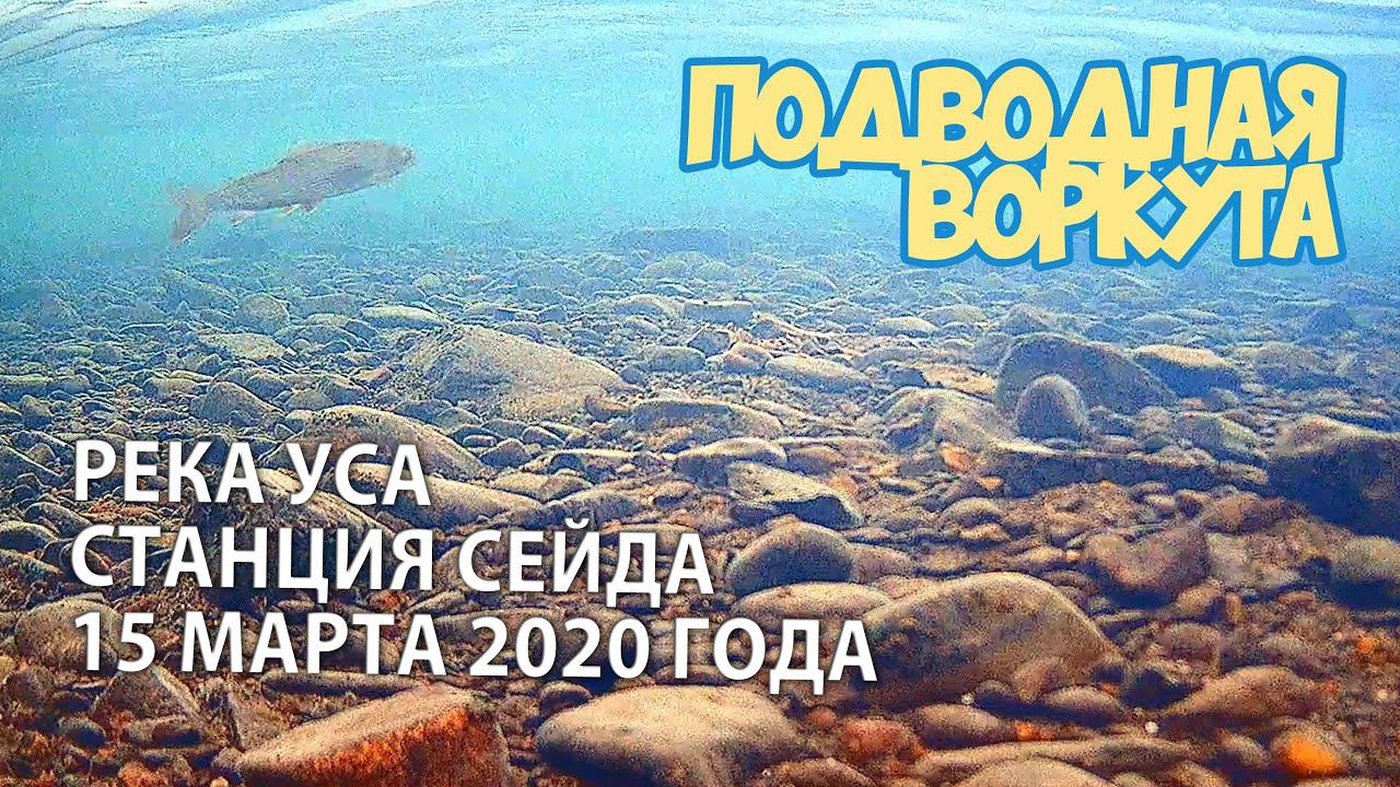 Рыбалка на Усе, ст. Сейда, 15 марта 2020 года. Подводная съёмка